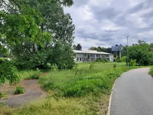 Prodej lesa, Pardubice, 2461 m2