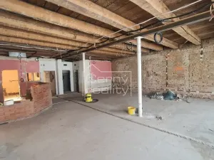 Prodej komerční nemovitosti, Nový Bydžov, Dukelská třída, 300 m2