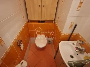 Pronájem bytu 3+kk, Pardubice, Dašická, 81 m2