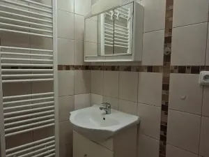 Pronájem bytu 1+1, Olomouc, Mlčochova, 55 m2