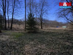 Prodej pozemku pro bydlení, Velemín, 5378 m2