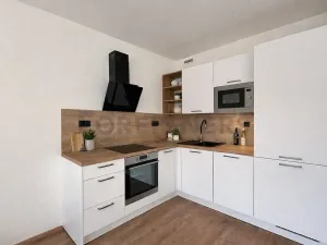 Pronájem bytu 1+kk, Brno, Fryčajova, 30 m2