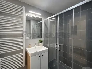 Pronájem bytu 1+kk, Brno, Fryčajova, 30 m2