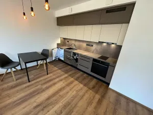 Pronájem bytu 1+kk, Brno, Slovákova, 45 m2