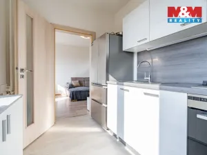 Prodej bytu 3+1, Písek - Pražské Předměstí, Na Pěníku, 67 m2