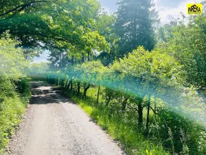 Prodej chaty, Soběslav, 26 m2