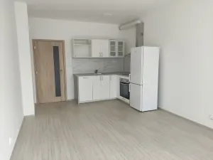 Pronájem bytu 1+kk, Brno, Střední, 33 m2