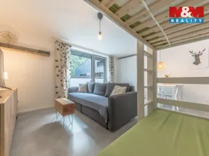 Prodej bytu 1+kk, Janov nad Nisou, 29 m2