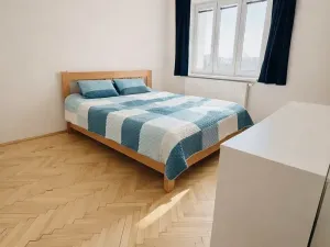 Pronájem bytu 2+1, Brno, Srbská, 53 m2