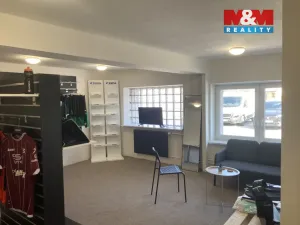 Pronájem kanceláře, Opava, Rybářská, 108 m2