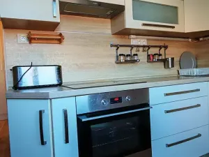 Pronájem bytu 3+1, Český Těšín, Zelená, 64 m2