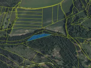 Prodej lesa, Volfířov - Brandlín, 3892 m2
