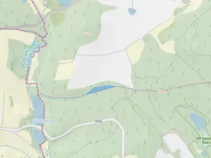 Prodej lesa, Volfířov - Brandlín, 3892 m2