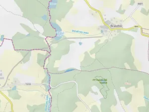 Prodej lesa, Volfířov - Brandlín, 3892 m2