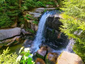 Prodej pozemku, Desná - Desná I, Údolní, 1668 m2