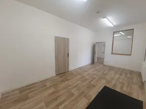 Pronájem výrobních prostor, Bílovice nad Svitavou, Obřanská, 249 m2