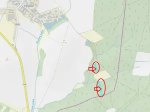 Prodej lesa, Olešník, 5100 m2