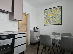 Pronájem bytu 2+1, Letovice, J. Haška, 74 m2