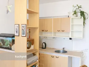 Prodej bytu 2+kk, České Budějovice, J. Bendy, 46 m2