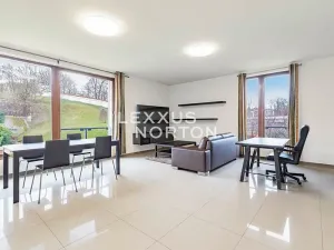 Pronájem bytu 2+kk, Praha - Bubeneč, Mlýnská, 79 m2