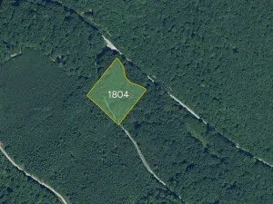 Prodej pole, Zlatníky, Slovensko, 11815 m2