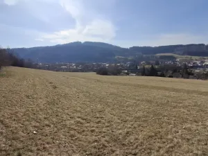 Prodej louky, Ústí nad Orlicí - Kerhartice, 49647 m2