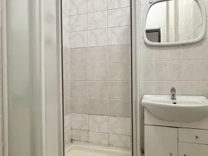 Prodej bytu 2+1, Bílina - Teplické Předměstí, M. Švabinského, 55 m2