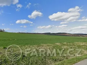 Prodej pole, Věžky, 63026 m2