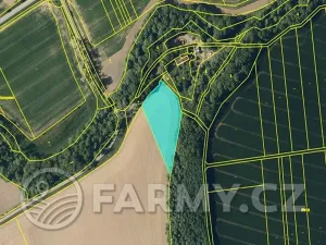 Prodej pole, Věžky, 63026 m2