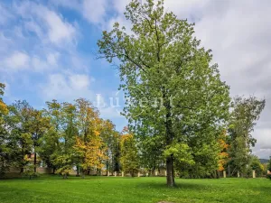 Pronájem domu, Mirošov, náměstí Míru, 1364 m2