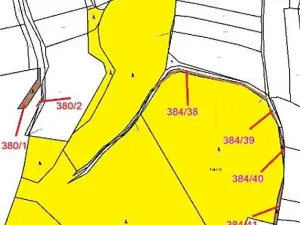 Prodej lesa, Červená Řečice, 1152 m2