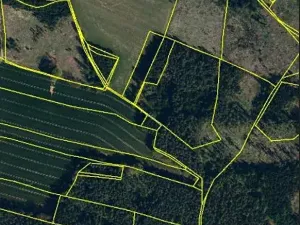 Prodej lesa, Červená Řečice, 52 m2