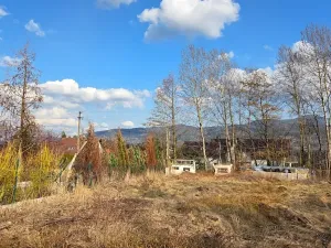 Prodej pozemku pro bydlení, Pstruží, 1145 m2