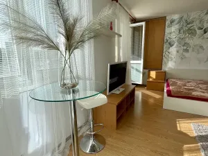 Prodej bytu 1+1, Praha - Michle, U plynárny, 37 m2