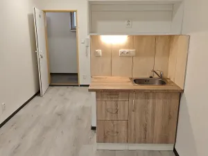 Pronájem bytu 1+kk, Praha - Hlubočepy, Na Zlíchově, 20 m2