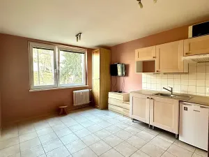 Pronájem bytu 1+kk, Karlovy Vary, Lidická, 22 m2