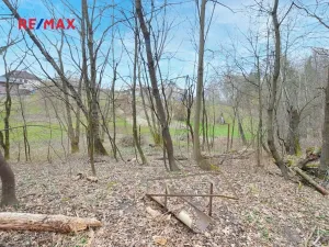 Prodej zahrady, Havířov, 1256 m2