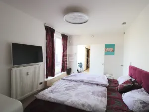 Pronájem bytu 3+kk, Plzeň, Goldscheiderova, 250 m2