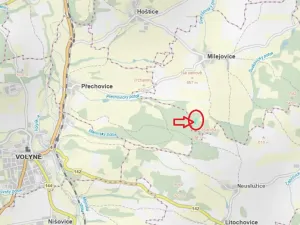 Prodej lesa, Milejovice, 2791 m2