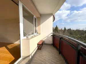 Prodej bytu 2+1, Brno - Lesná, Slavíčkova, 61 m2