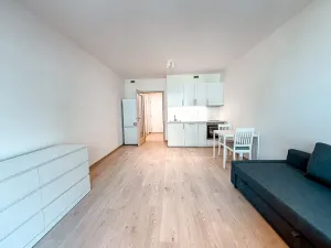 Pronájem bytu 1+kk, Praha - Hloubětín, Poděbradská, 33 m2