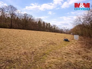 Prodej rybníku, Křečovice - Vlkonice, 68525 m2