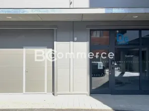 Pronájem obchodního prostoru, Brno, Svatopetrská, 203 m2