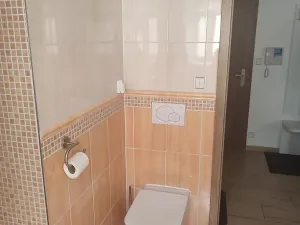 Pronájem bytu 1+kk, Frýdek-Místek, Ostravská, 32 m2