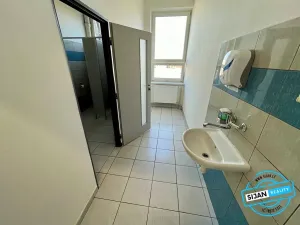 Pronájem kanceláře, Opava, Vrchní, 59 m2