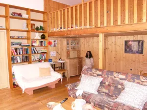 Prodej rodinného domu, Vysoké Mýto - Vysoké Mýto-Město, B. Smetany, 420 m2