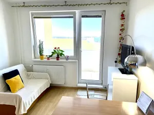 Pronájem bytu 1+1, Strakonice, Obránců míru, 42 m2