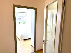 Pronájem bytu 1+1, Strakonice, Obránců míru, 42 m2