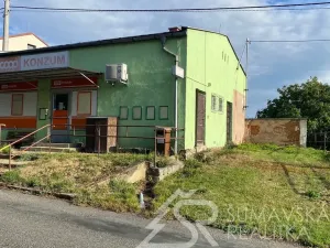 Prodej obchodního prostoru, Zborovy, 233 m2