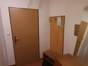 Pronájem bytu 1+kk, Prostějov, Hradební, 35 m2